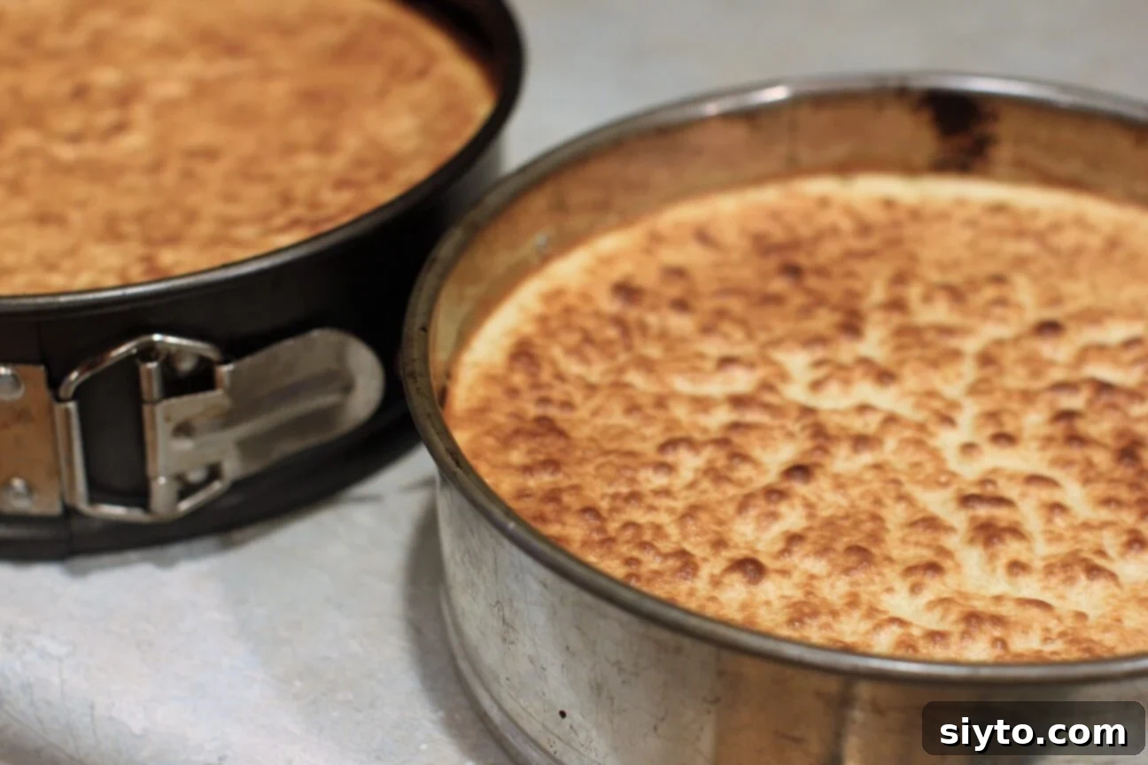 two different springform pans of grilled batter layers