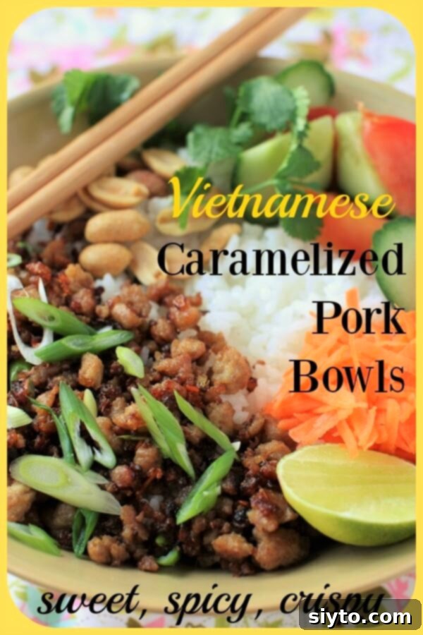 Banner image of Vietnamese Caramelized Pork in a Rice Bowl, garnished and ready to serve