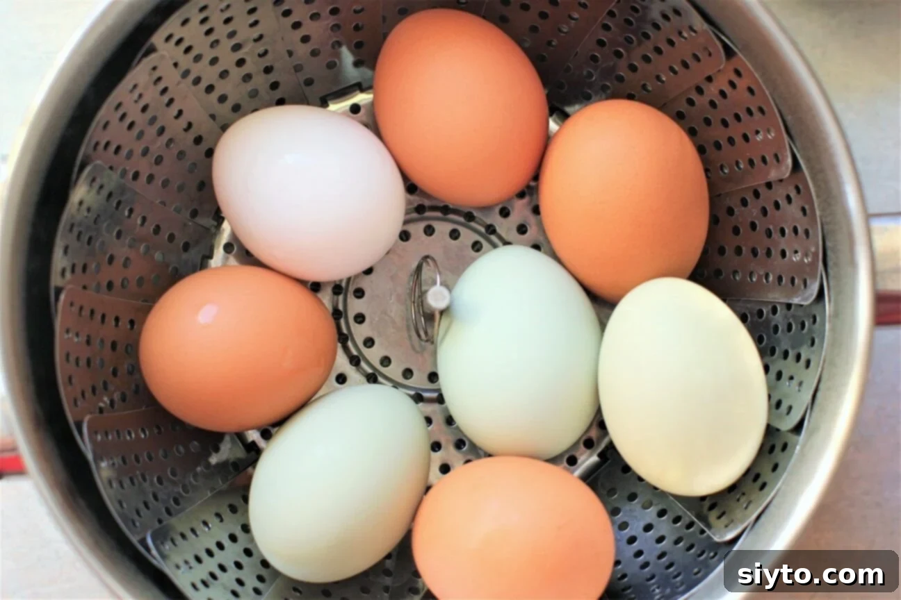 multi coloured eggs in the steamer basket