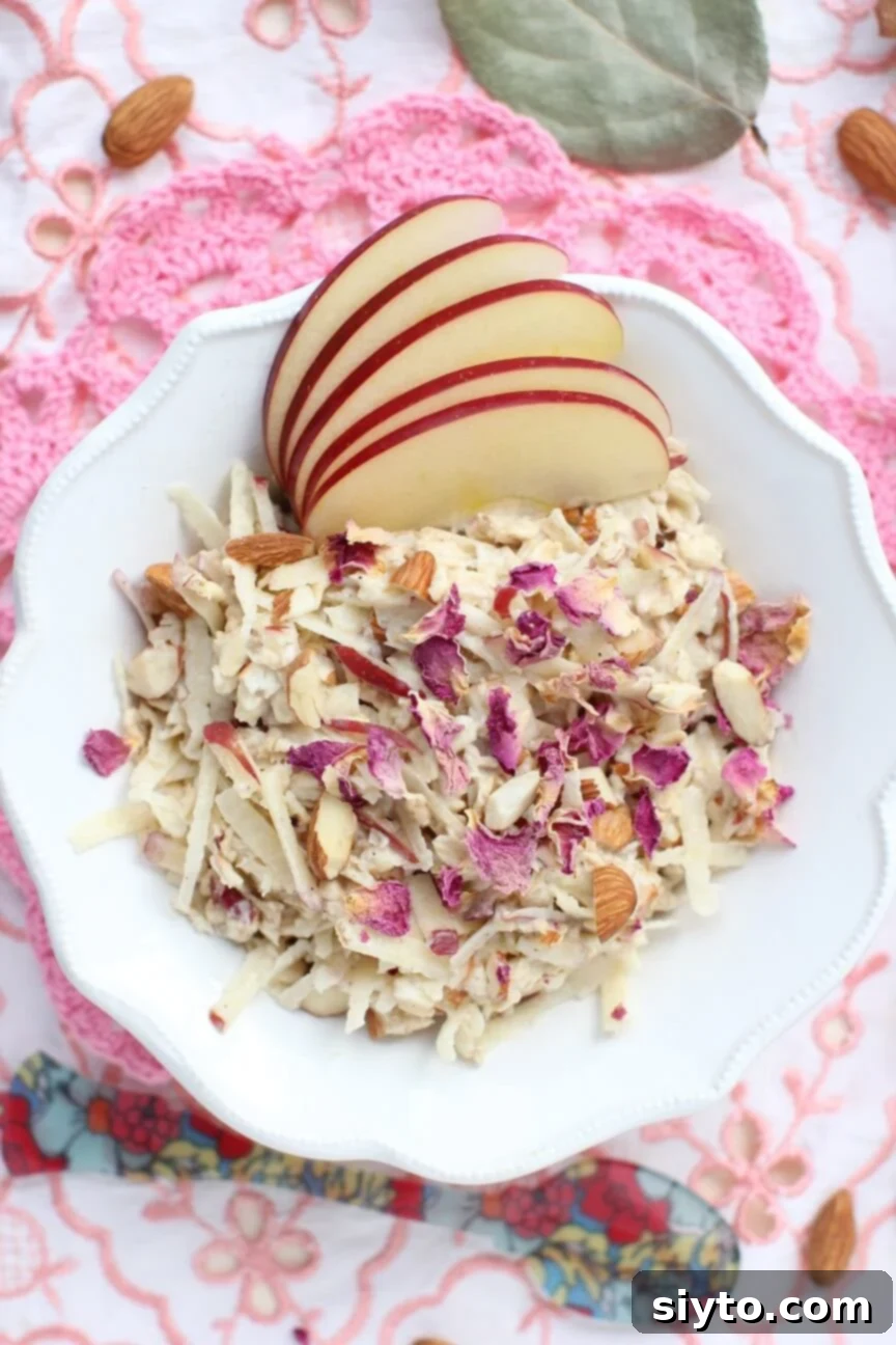 top down view of a bowl of bircher muelsi with sliced apples on it