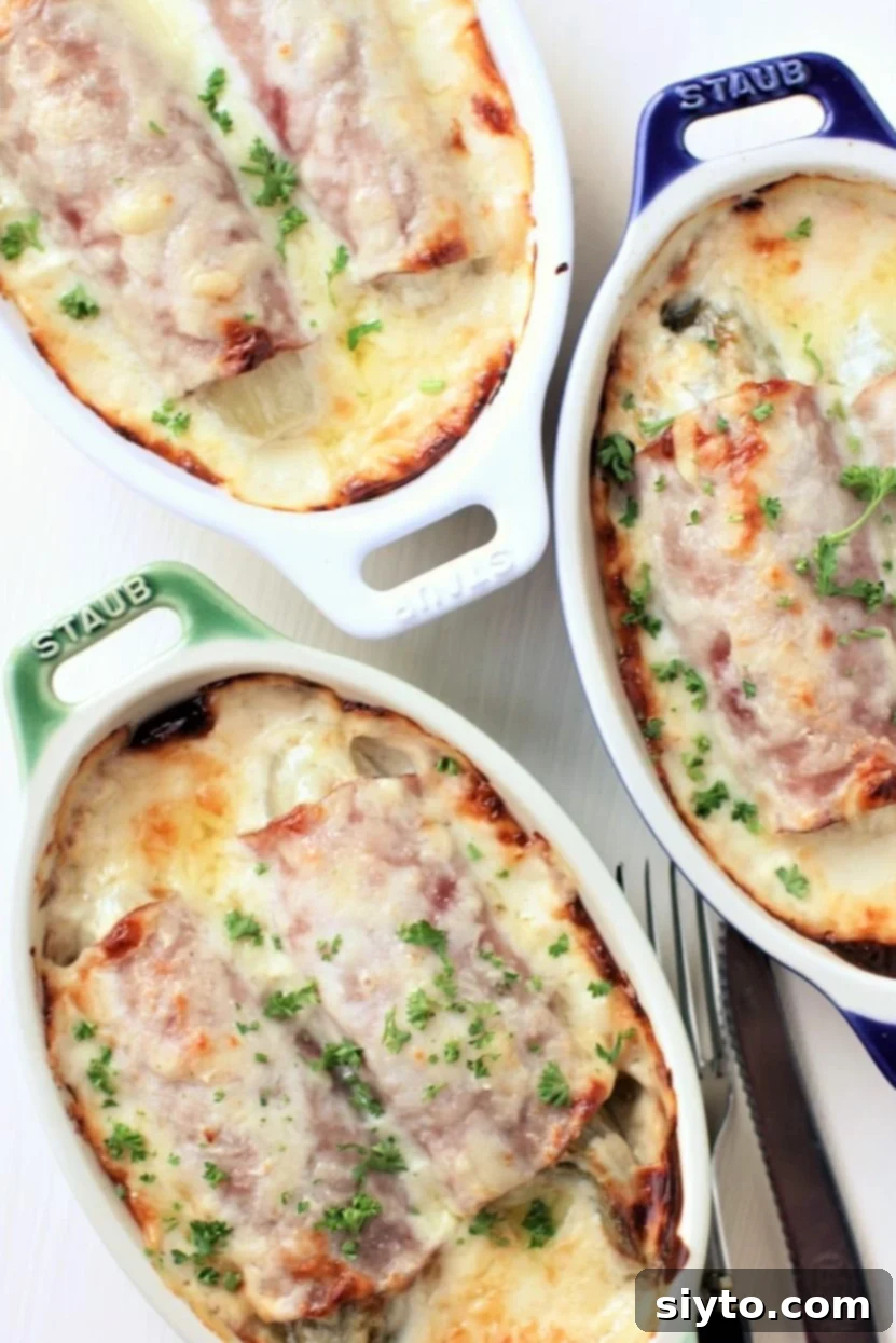 Chicons au Gratin: A Taste of Our Belgian Journey 2 Mini gratin dishes showcasing golden-brown braised Belgian endive in a rich, bubbly cheese sauce with crispy edges