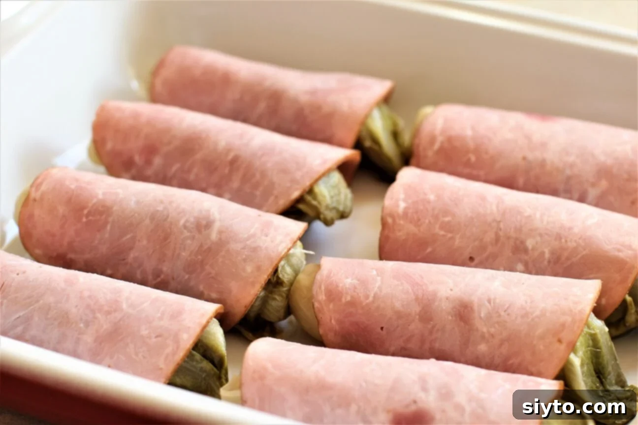 Chicons au Gratin: A Taste of Our Belgian Journey 11 Ham-wrapped endives neatly arranged in a rectangular baking dish, ready for sauce and baking