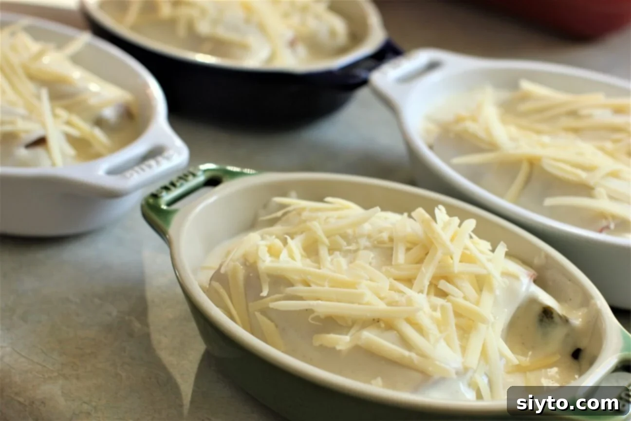 Chicons au Gratin: A Taste of Our Belgian Journey 12 Individual gratin dishes filled with ham-wrapped endives generously covered in creamy cheese sauce, ready for the oven