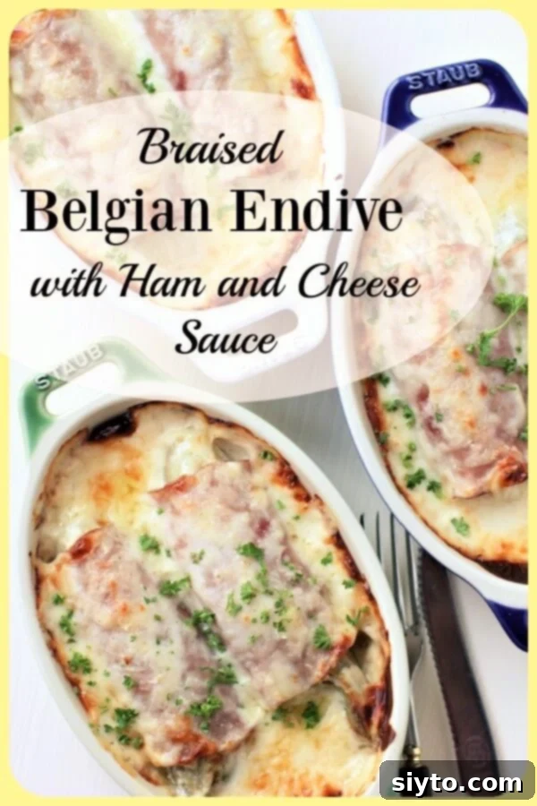 Chicons au Gratin: A Taste of Our Belgian Journey 15 Pinterest banner for Braised Endives au Gratin featuring the delicious, golden-brown dish in a gratin dish