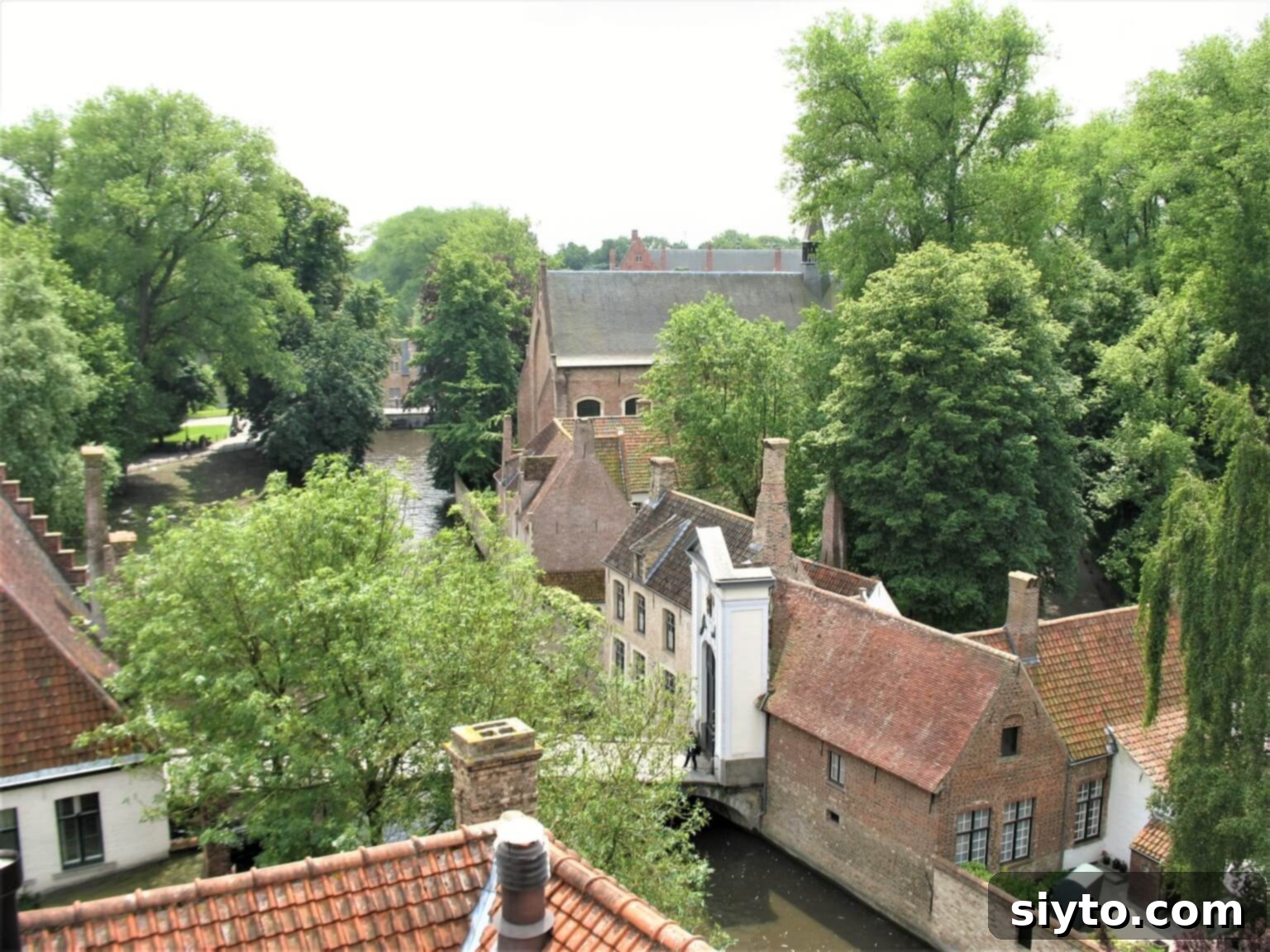 Chicons au Gratin: A Taste of Our Belgian Journey 5 Panoramic view overlooking the charming trees and historic rooftops of Bruges, showcasing its medieval beauty