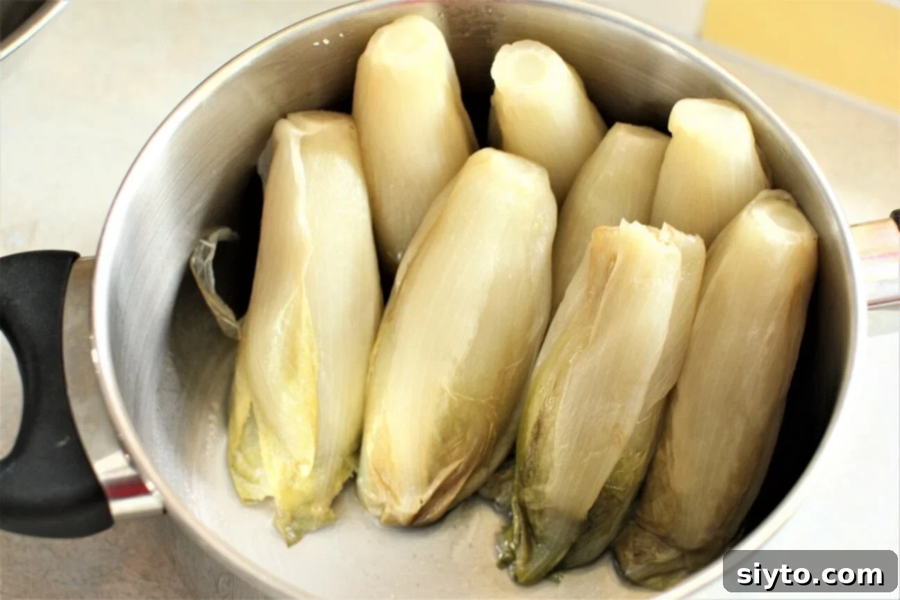 Chicons au Gratin: A Taste of Our Belgian Journey 10 Braised endives carefully tipped upside down against a pot's edge to drain excess liquid after cooking