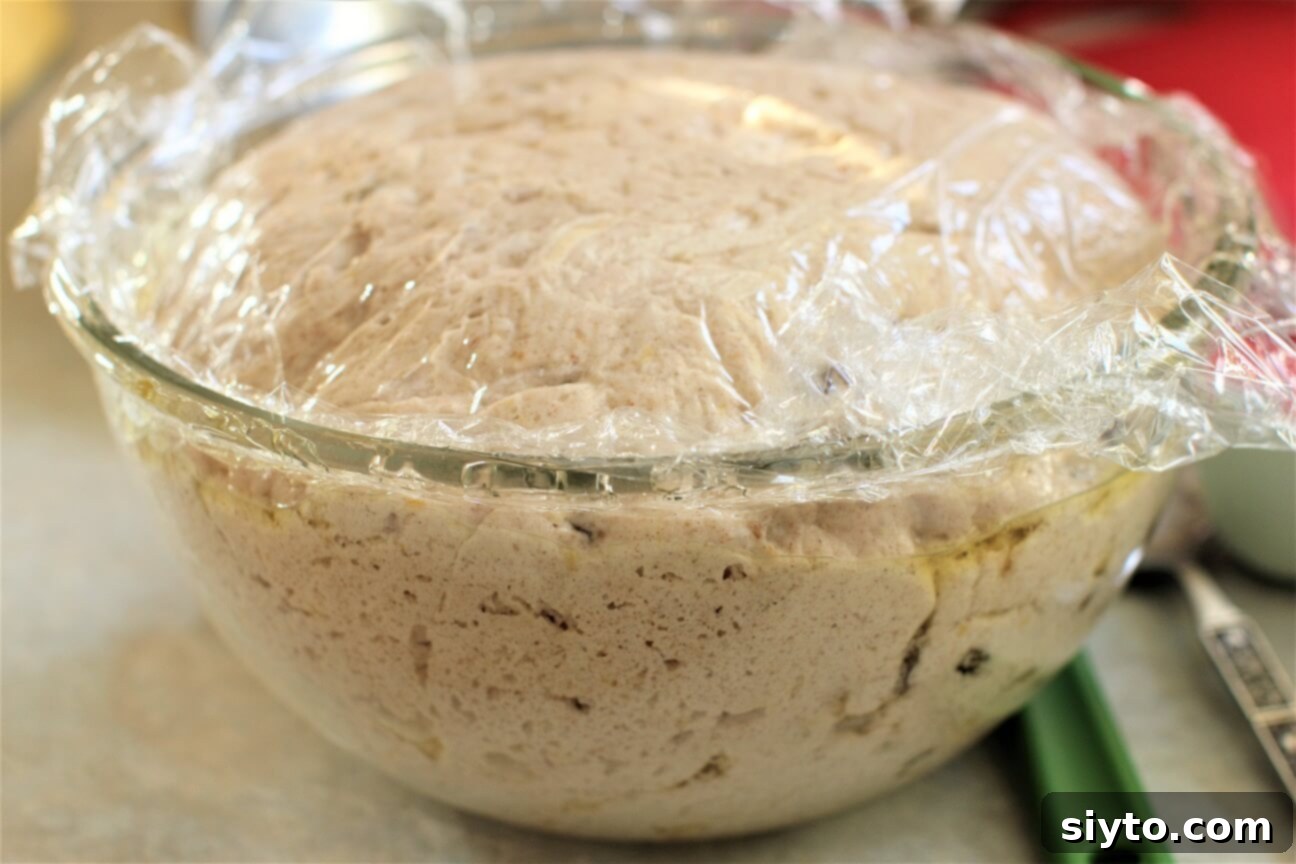 Fluffy Gluten-Free Hot Cross Buns 7 Successfully risen gluten-free hot cross bun dough, light and fluffy, after an hour of proofing