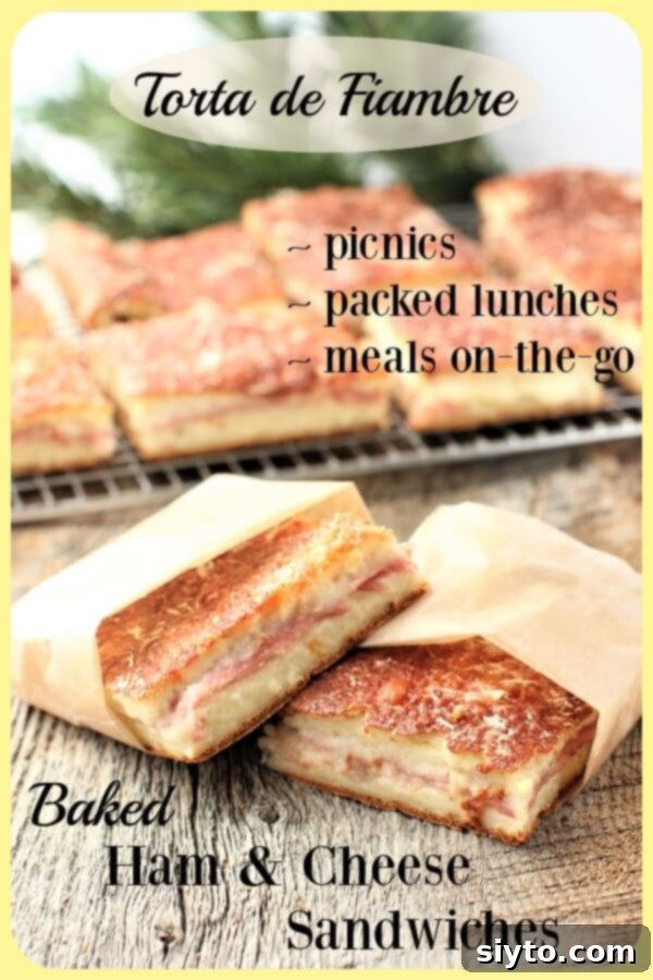 Torta de Fiambre sandwiches, banner