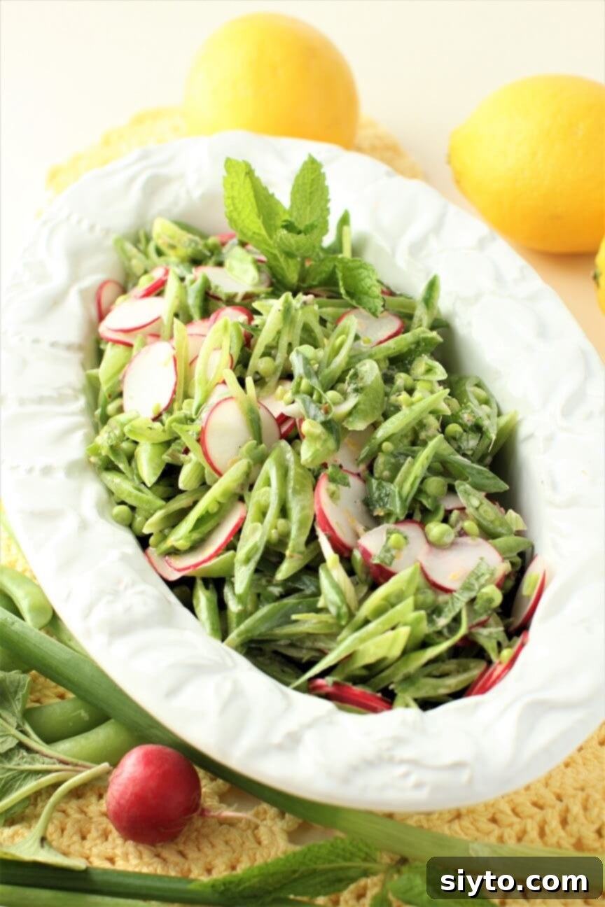 Snap Pea and Radish Salad: A Taste of Spring 2 A bright bowl of sugar snap pea & radish salad, showcasing its vibrant green and red colors, ready to be served.