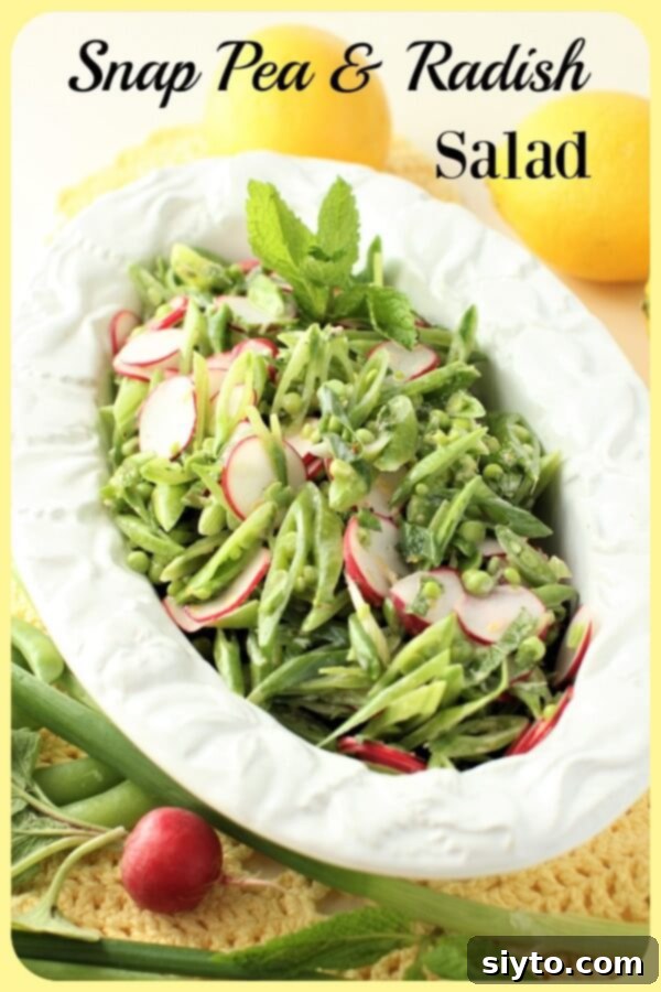 Snap Pea and Radish Salad: A Taste of Spring 12 A vertical banner image featuring the vibrant Sugar Snap Pea and Radish Salad, with text overlay for easy pinning.