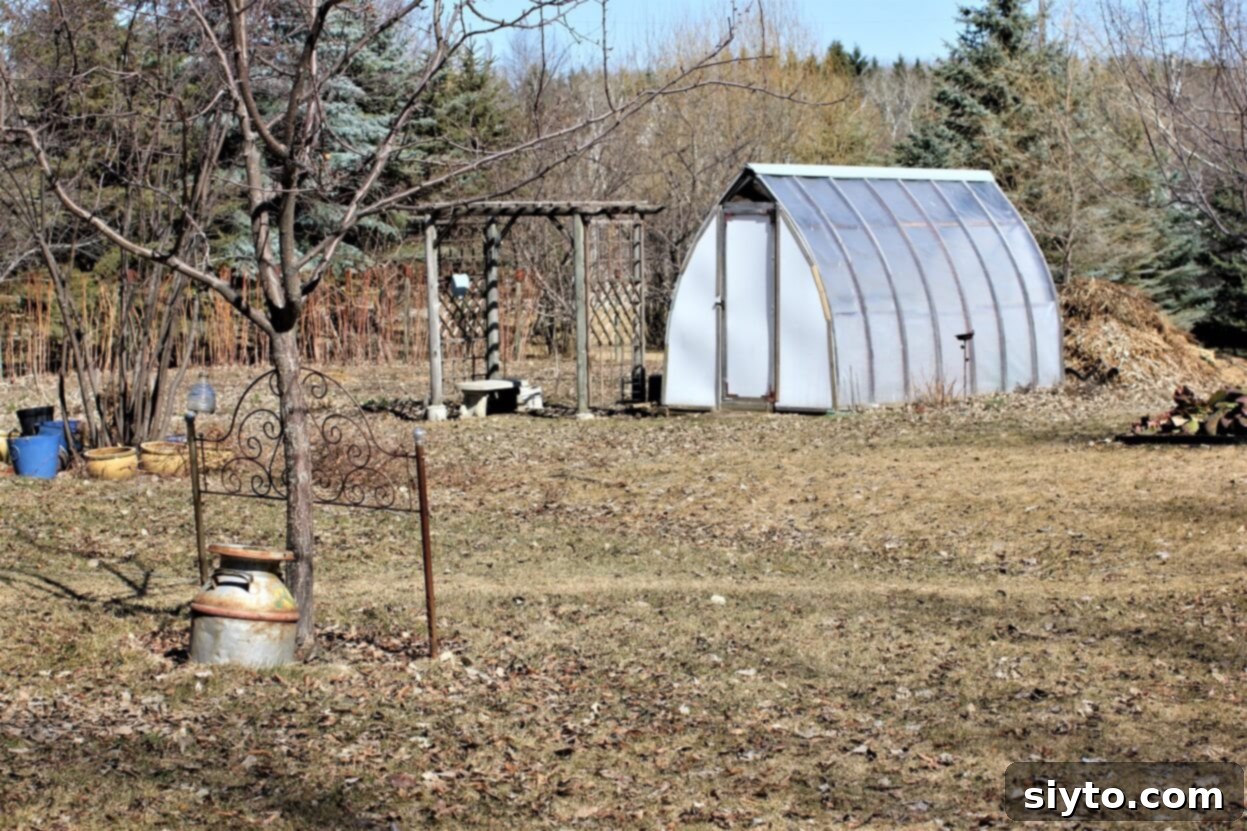 Snap Pea and Radish Salad: A Taste of Spring 3 A picturesque scene of a greenhouse and yard in early spring, showing hints of green amidst lingering patches of snow.
