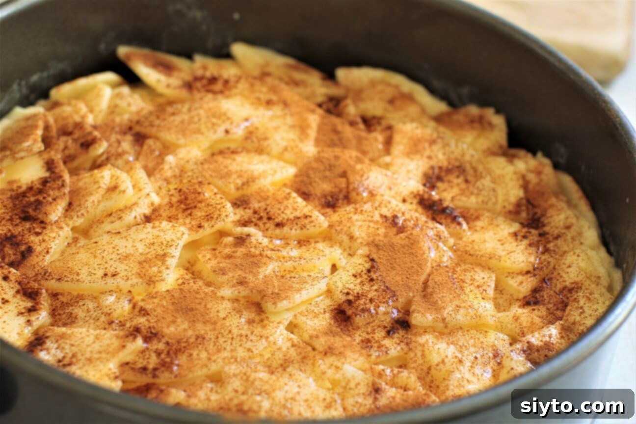 German Crustless Apple Pie: Creamy and Bursting with Apples 11 cinnamon sprinkled on top of the apples in the baking dish