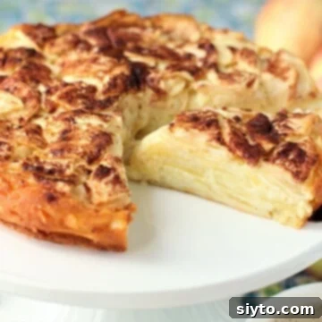 German Crustless Apple Pie: Creamy and Bursting with Apples 14 a slice of crustless apple pie being served