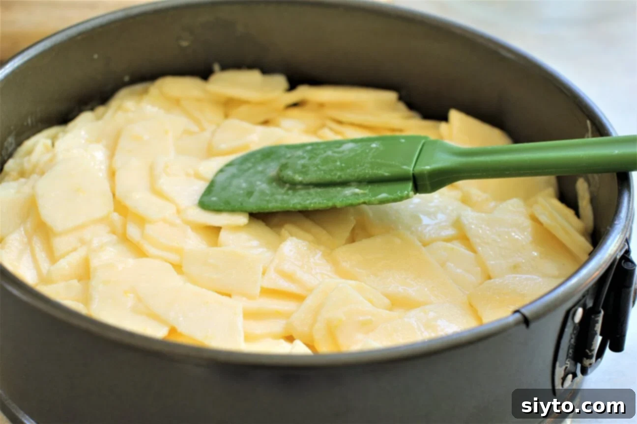 German Crustless Apple Pie: Creamy and Bursting with Apples 10 smoothing the tops of the apple slices in the springform pan