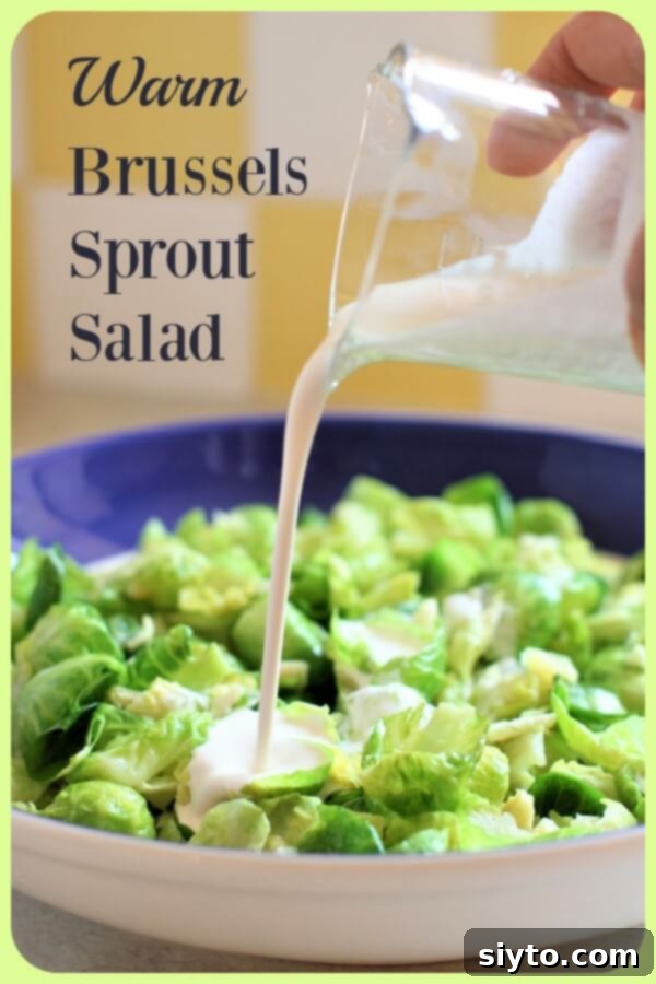 Banner image for Warm Brussels Sprout Salad, showing a serving suggestion and recipe title