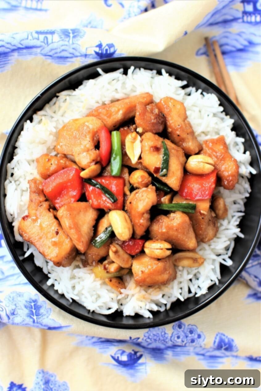 top down view of a plate of kung pao chicken on rice