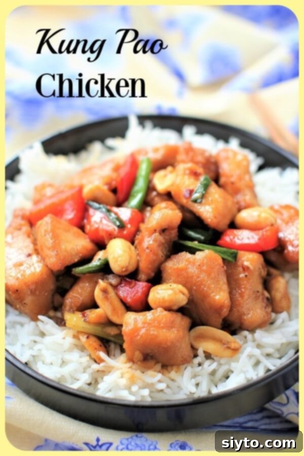 Kung Pao Chicken Banner