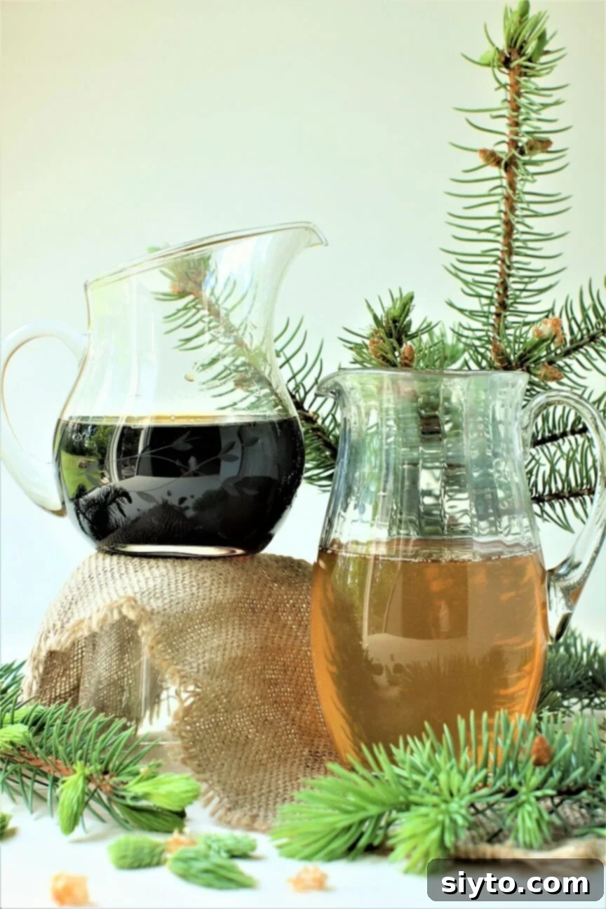 Two pitchers of homemade spruce tip syrup on burlap with fresh spruce branches