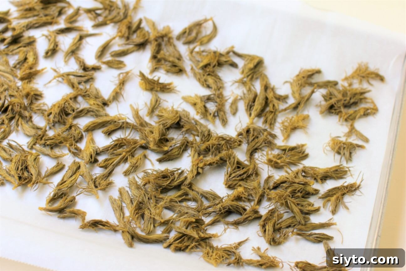 Candied spruce tips drying in a single layer on a parchment-lined baking sheet
