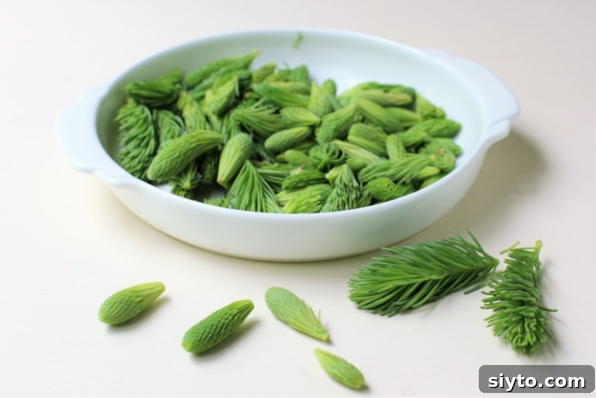 White dish filled with freshly harvested spruce tips at various stages of growth