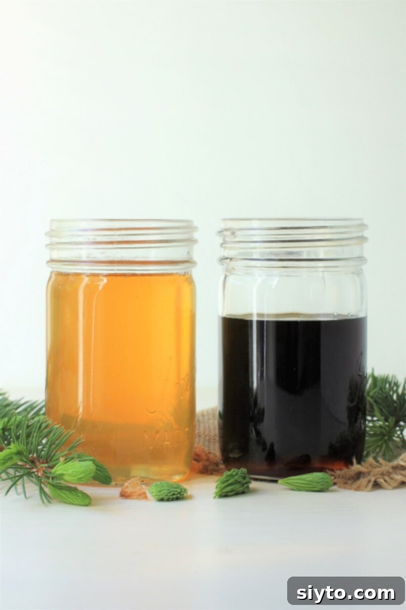 Two jars, one containing light golden cooked spruce tip syrup, and the other dark, intense raw syrup