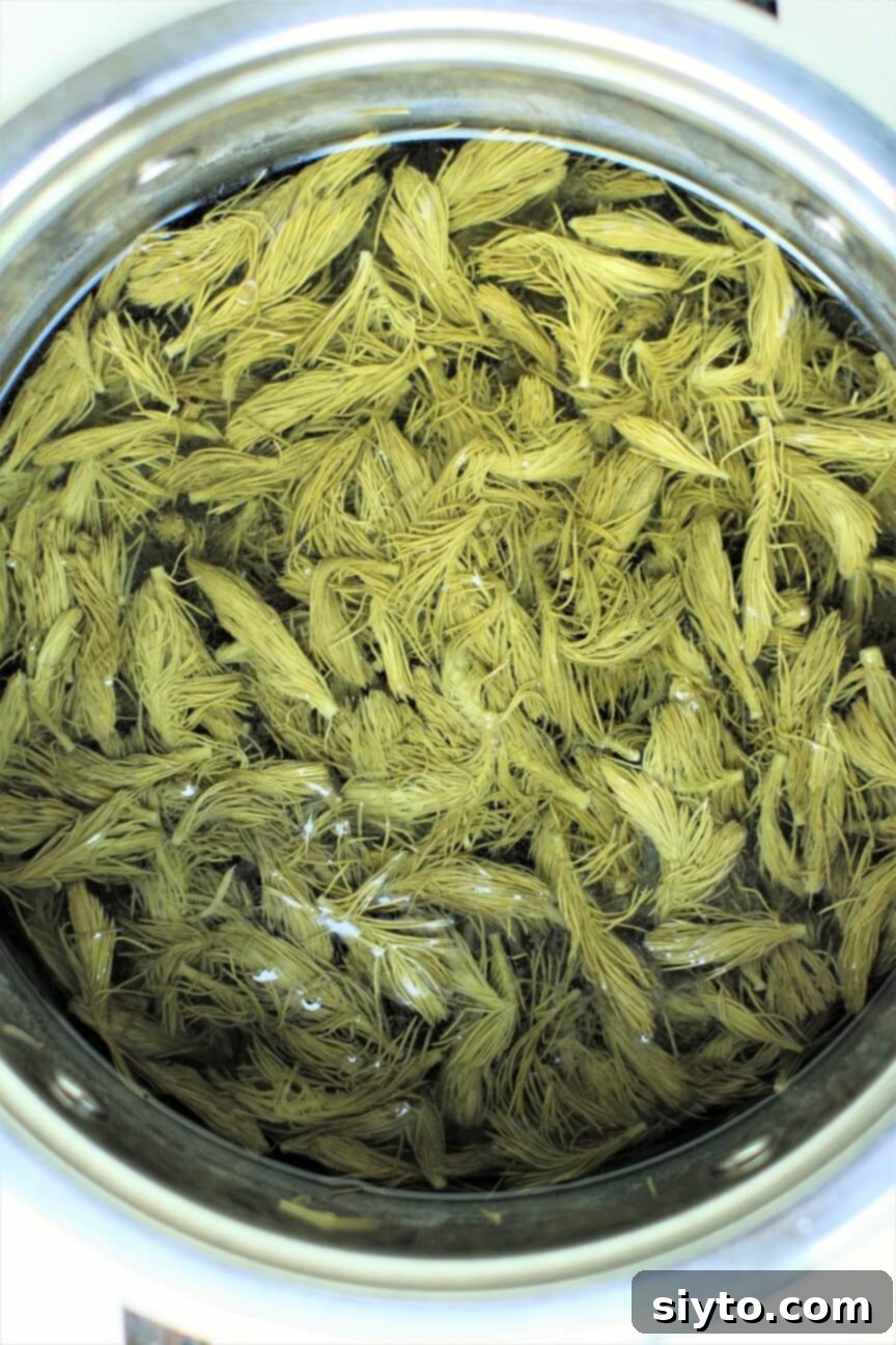 Spruce tips simmering in water on a stovetop, infusing their flavor for cooked syrup