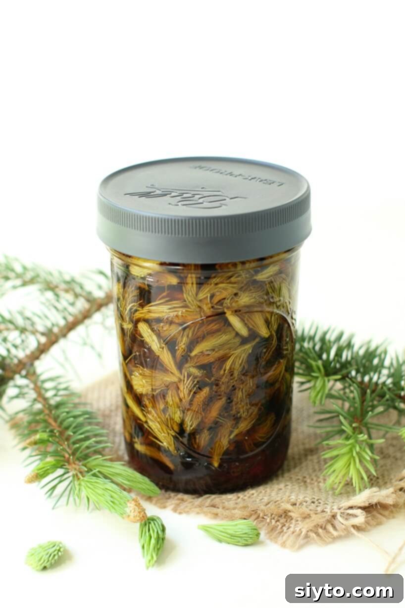 Sun-steeped spruce tips immersed in dark syrup within a glass jar, ready for straining