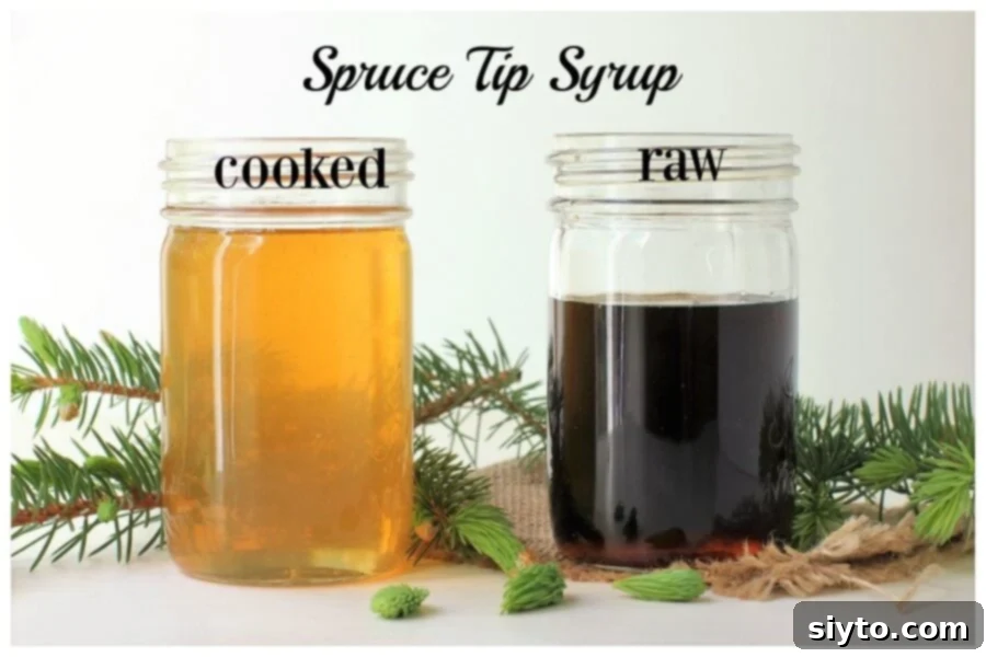 Two jars of spruce tip syrup, one light (cooked) and one dark (raw), with homemade labels