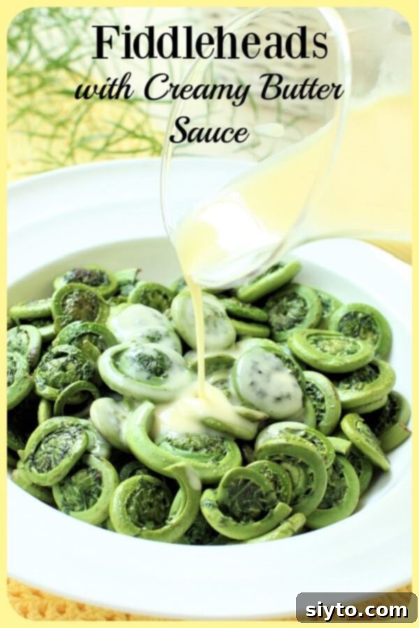 fiddlehead ferns with butter sauce banner