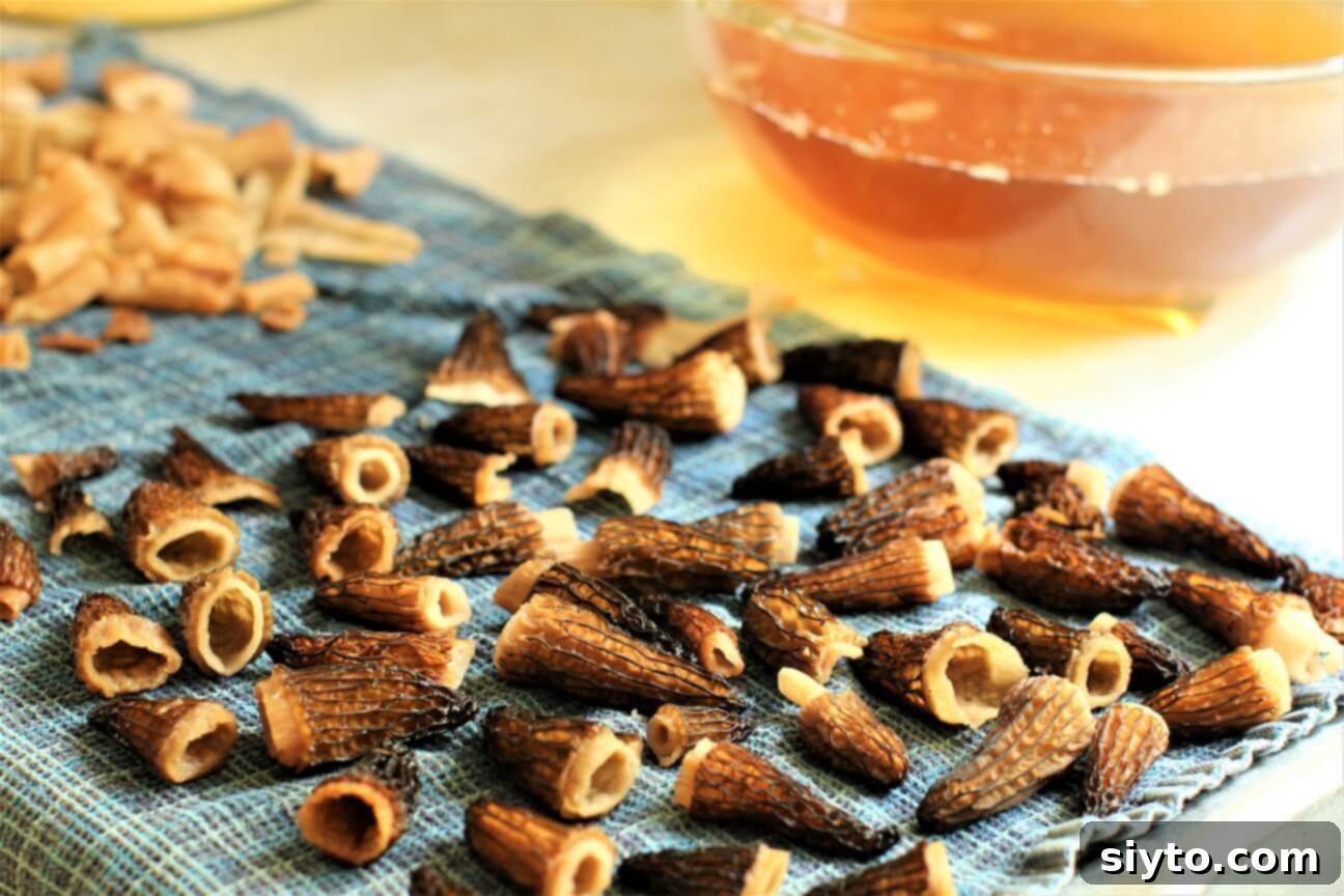 Savory Pan Fried Morel Mushroom Bites 8 Cleaned morel mushrooms meticulously laid out in a single layer on a tea towel to air dry before cooking, ensuring crispiness