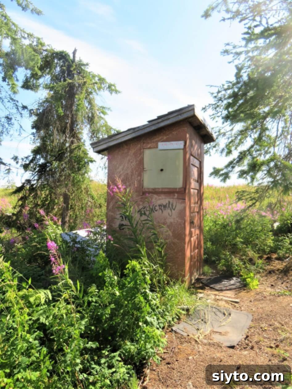 Charming rustic outhouse surrounded by vibrant fireweed plants, adding to the natural beauty of the cabin surroundings.