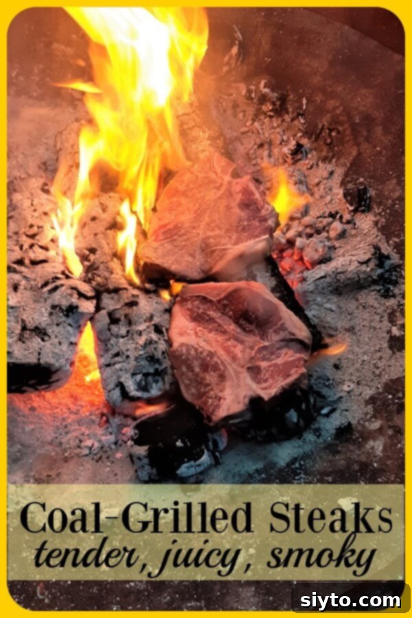 Two thick porterhouse steaks grilling directly on hot coals in a campfire, with smoke rising