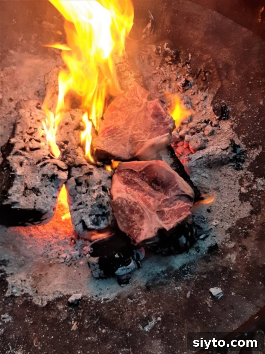 Two porterhouse steaks searing directly on glowing wood coals in a campfire, with visible embers