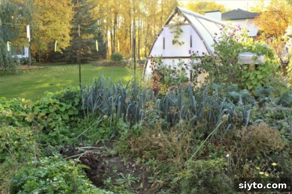 Lush plants growing in front of a greenhouse