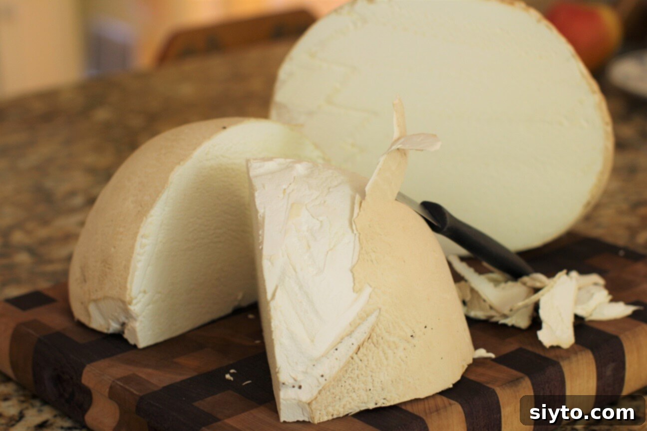 A giant puffball mushroom sliced open, with a hand gently pulling off its thin outer peel, revealing the uniformly white, dense interior.