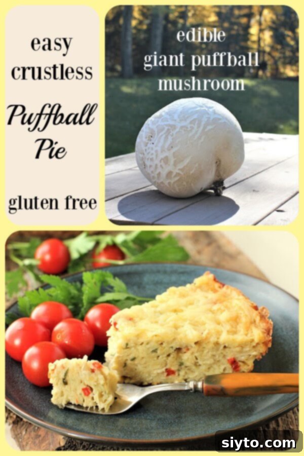 A visual banner showcasing a whole giant puffball mushroom on one side and a delicious slice of the baked crustless puffball pie on the other, enticing viewers to save the recipe.