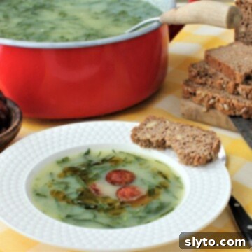 Caldo Verde Classic Portuguese Green Soup 2 A vibrant red pot filled with Caldo Verde soup, with a serving bowl of the soup in front, and crusty bread on the side.