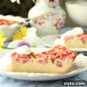 Delicious Crustless Rhubarb Custard Pie on a plate, perfectly showcasing the layers.