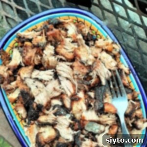 shredded carnitas in bowl