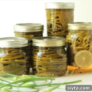 Tangy Garlic Scape Twists 2 jars of pickled garlic scapes and a few fresh scapes, a perfect way to preserve your garlic harvest.