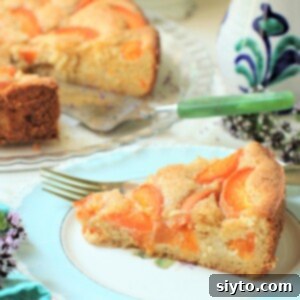 Golden Apricot Delight 2 Thumbnail of a moist apricot cake slice, showcasing its golden apricots and tender crumb, perfect for a summer treat.