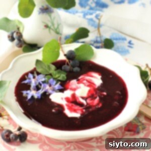 Saskatoon Summer Nectar 2 saskatoon soup thumbnail