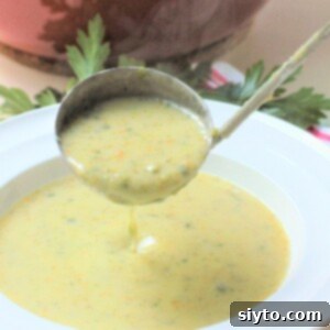Ladling creamy zucchini soup into a bowl.