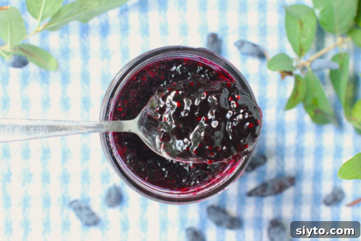 Homemade Haskap Honeyberry Jam Without Pectin 6 A top-down view of a spoonful of dark, luscious haskap (honeyberry) jam resting delicately on top of a jam jar, showing its rich texture and small seeds.