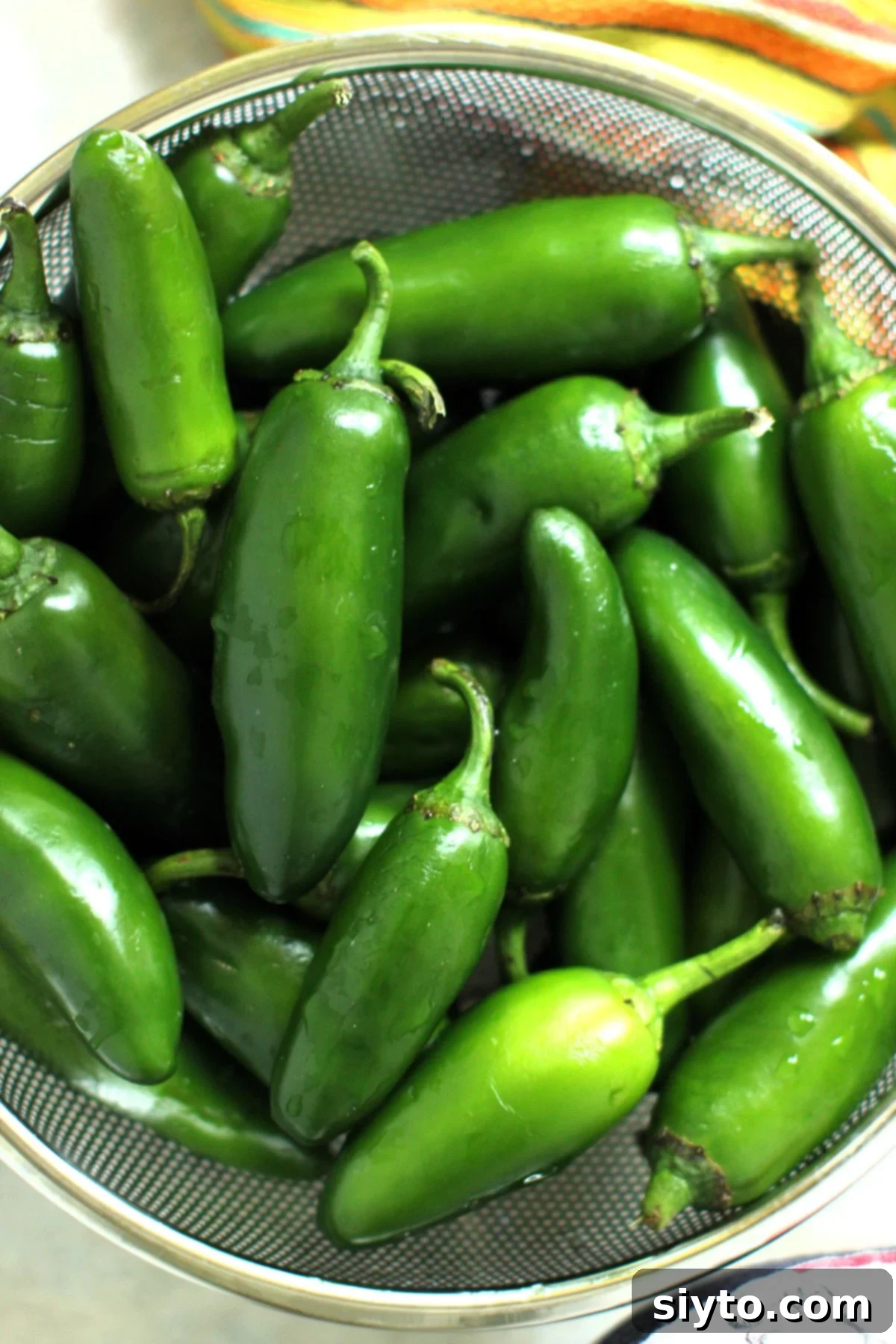 Freshly washed, vibrant green jalapeno peppers resting in a colander, ready for preparation.