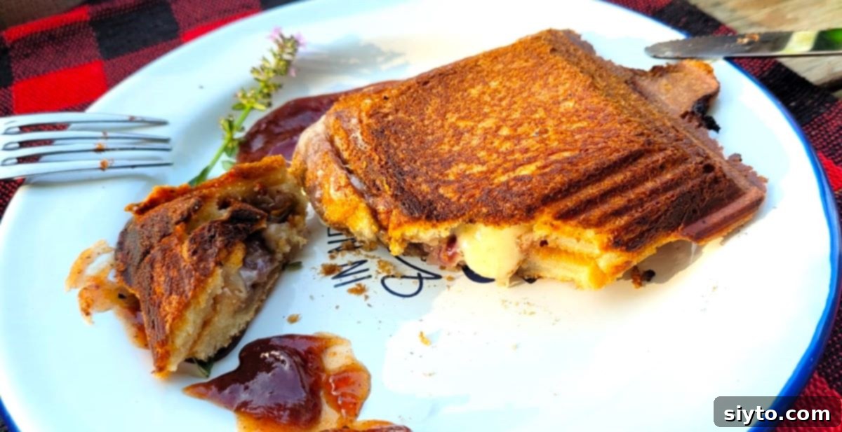 A freshly grilled campfire cheese sandwich on a plate, with a piece cut off, revealing wonderfully oozing, melted cheese and rich, caramelized onions.