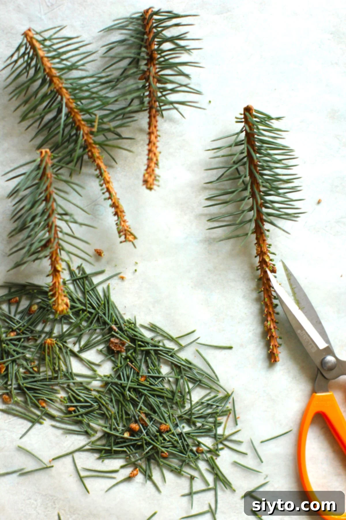 snipping spruce twigs to make mini trees.