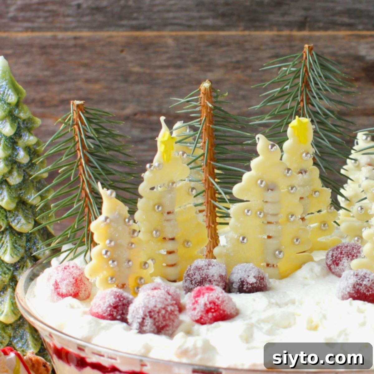 decorations on top of the trifle.