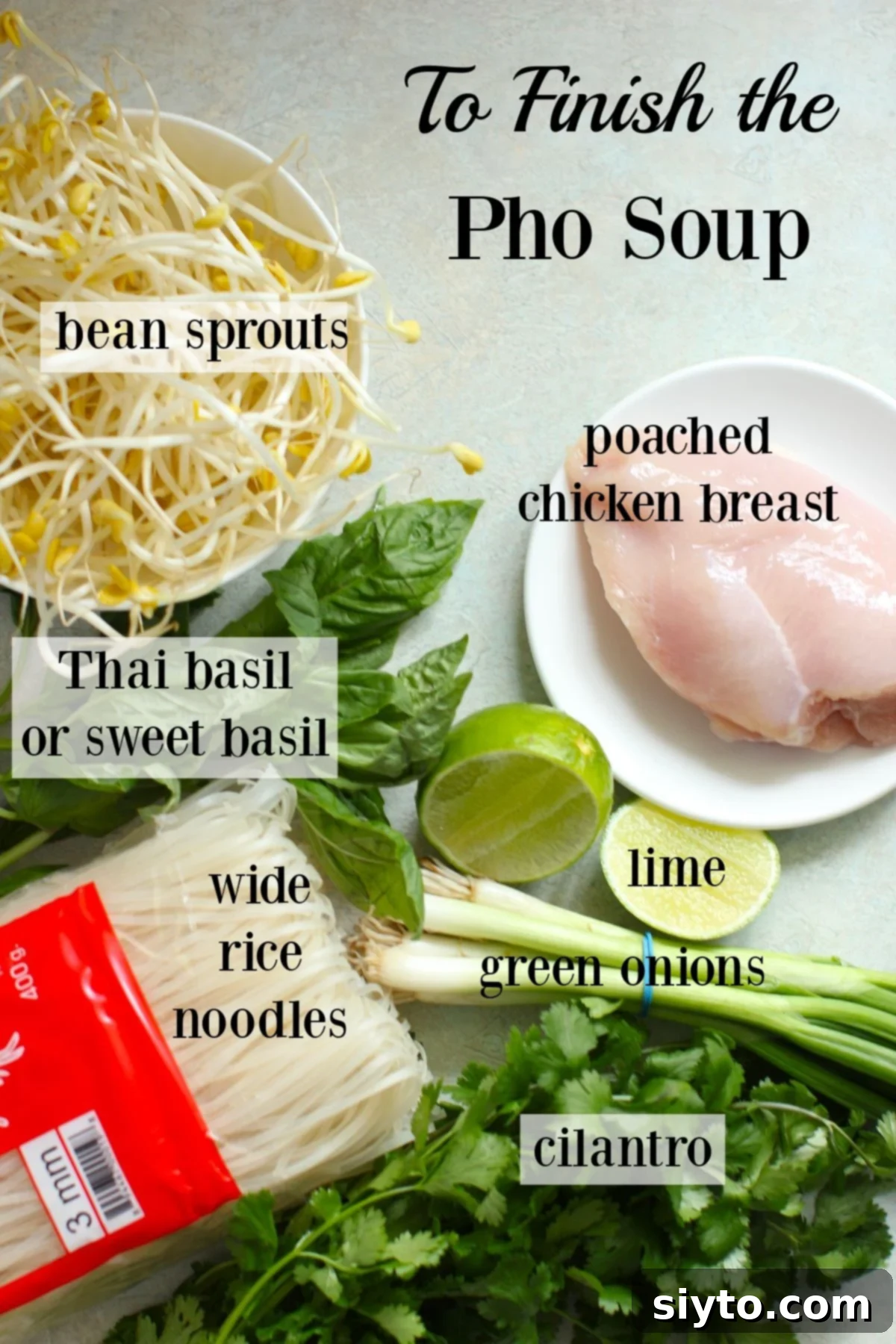 the basic ingredients needed to make up a bowl of pho soup.