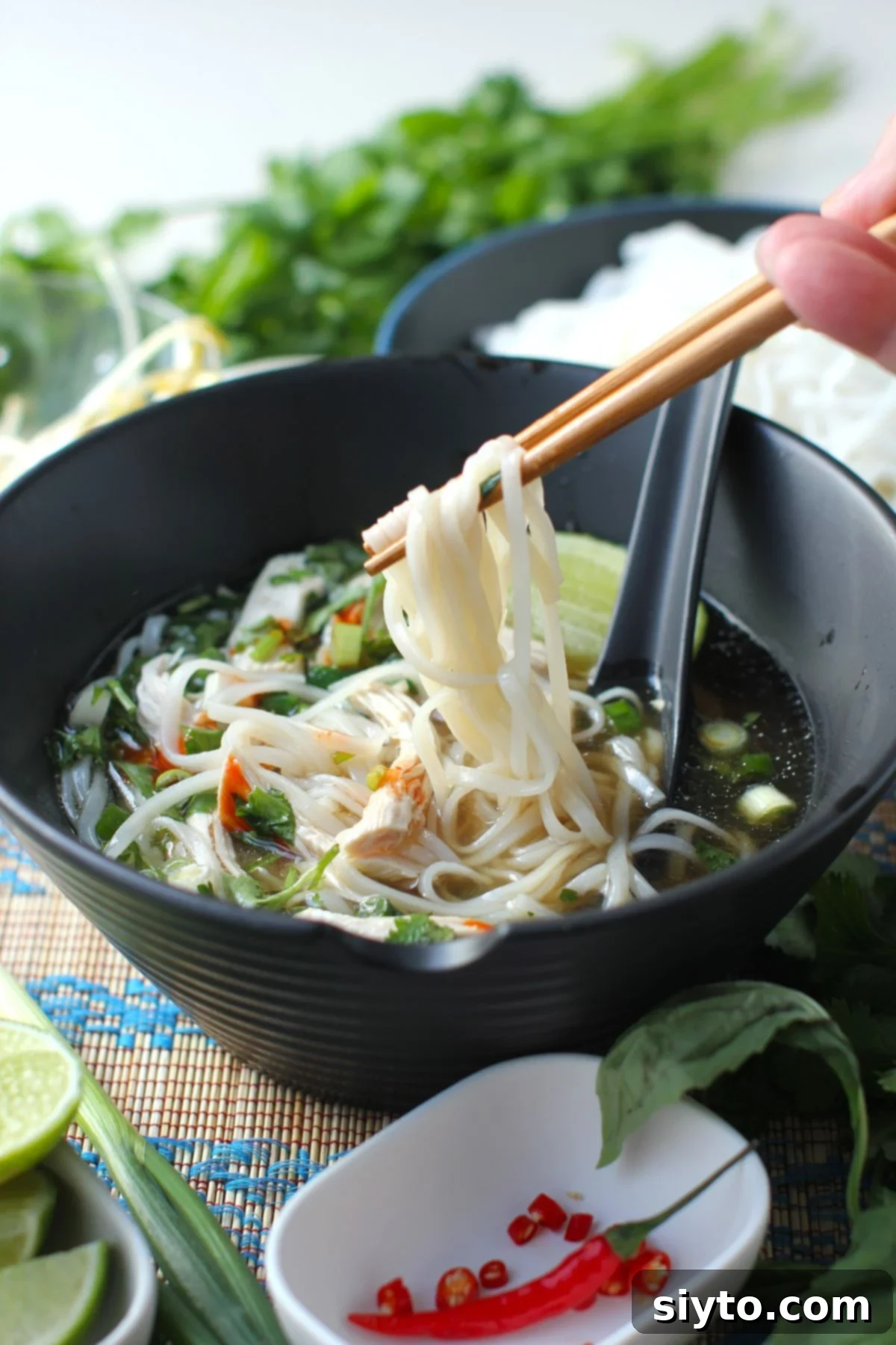 lifting the noodles up out of a bowl of pho with chopsticks.